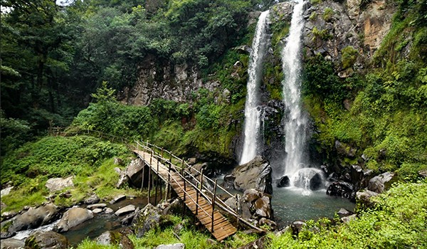 Cascadas Honey