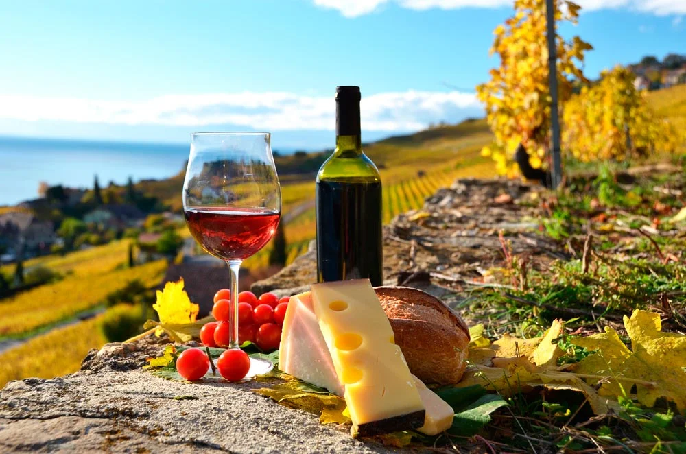 Ruta del Vino y el Queso Queretaro